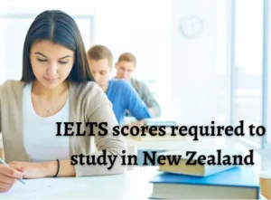 IELTS Scores to Study in New Zealand